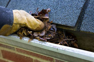 Gutter Cleaning Uttoxeter Staffordshire