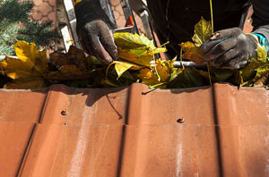 Gutter Cleaning Telford Shropshire