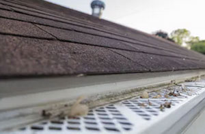 Gutter Guards Lee-on-the-Solent Hampshire