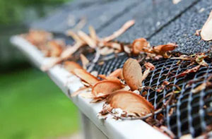 Gutter Guards Paignton Devon