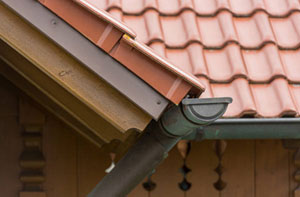 Gutter Maintenance Sandown (01983)