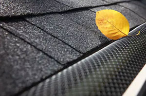 Gutter Maintenance Near Me Whetstone